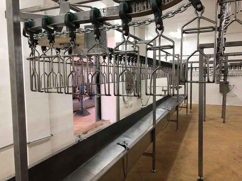 Poultry slaughter line, 1.000 bph