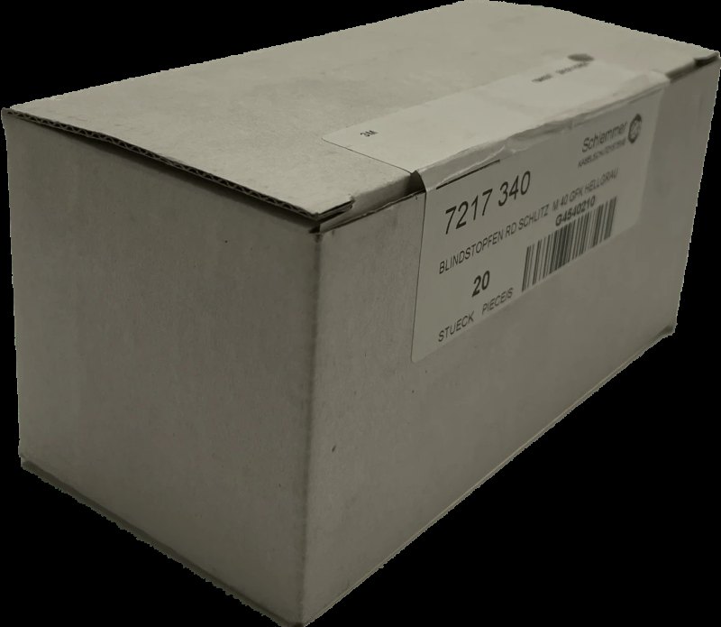 Schlemmer 7217340 Blindstopfen RD Schlitz M40