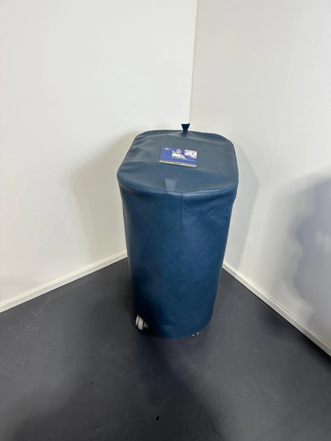 ProstaLund CoreTherm Mikrowellentherapiegerät (Prostata) - 2