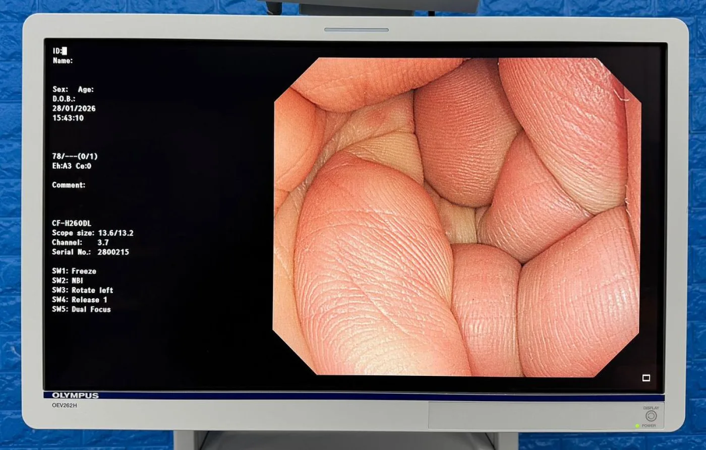 Olympus OEV262H LCD Monitor - 7