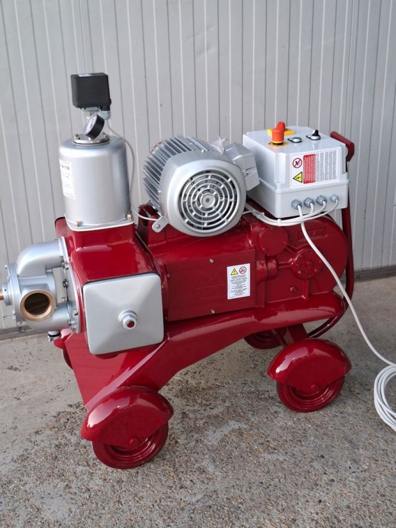 PISTON PUMP MANZINI MOD.300HL, TWIN-CYLINDER, BRONZE BODY PUMP, SECOND-HAND MACHINE