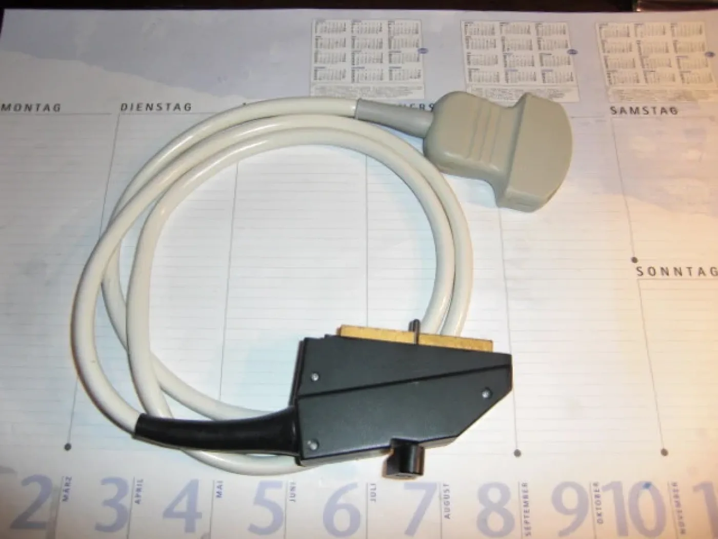 Acuson C 366 Ultraschallsonde (Konvex) - 1