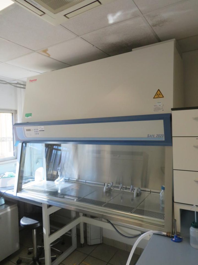 2021 Thermo Scientific Thermo Scientific Safe 2020 1.8 Calss II Biological Safety Cabinet- R and D