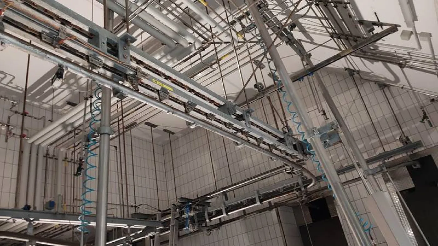 Slaughter conveyor - 2