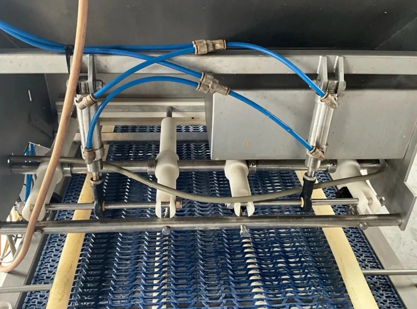 Marel Carnitech Fish Salter - 3