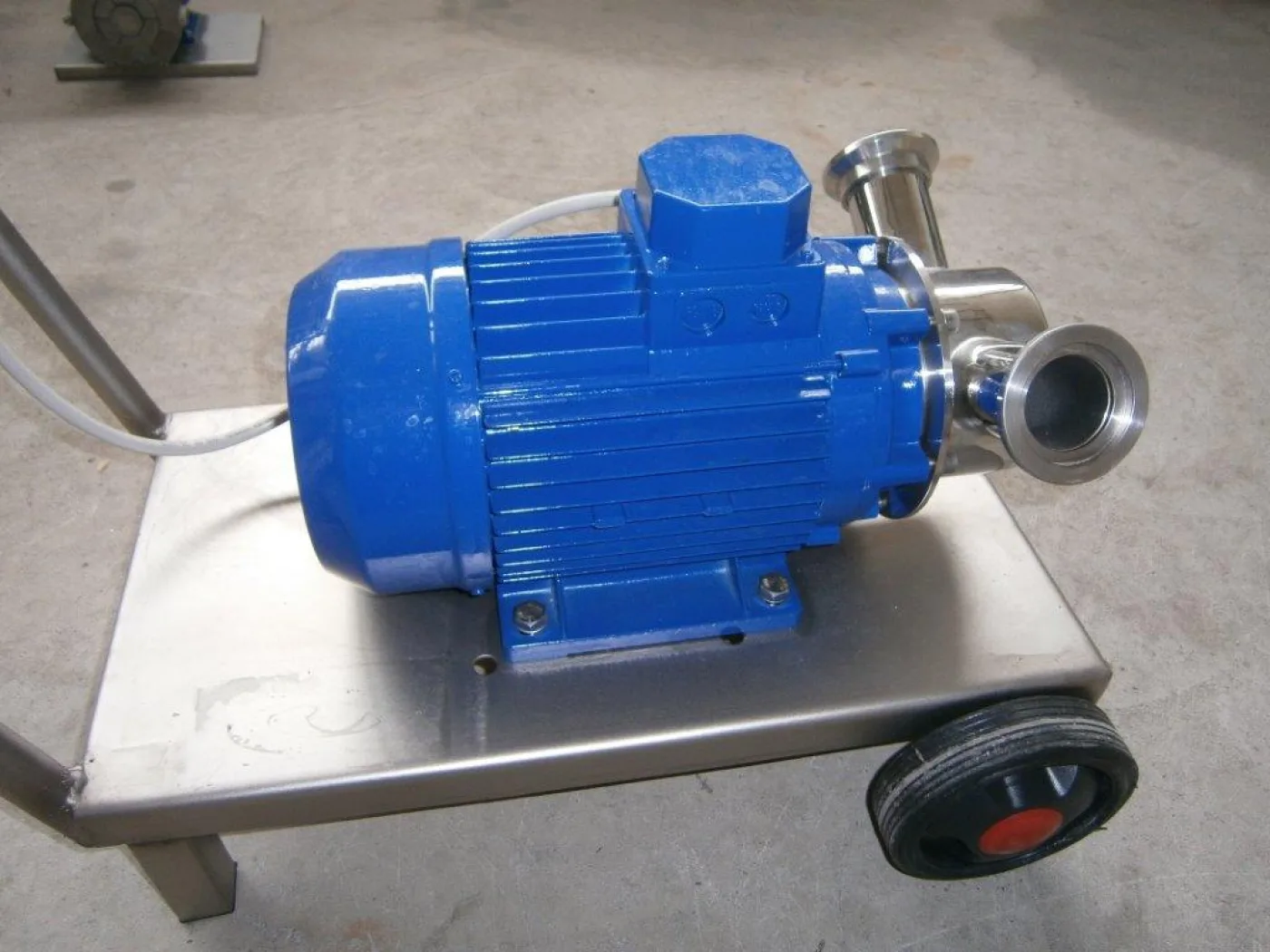 PUMP – ELECTRIC PUMP IN STAINLESS STEEL WITH FOOD NEOPRENE IMPELLER MOD. EURO 50 1 SPEED THREE PHASE 380 VOLTNEW MACHINE - 7