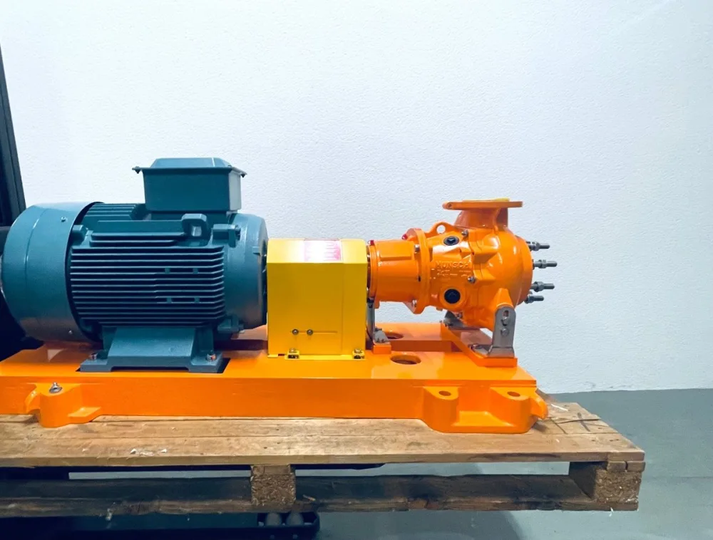Munsch Chemiepumpe NPC90-65-160,REA-F mit ABB 45 kW Antriebsmotor