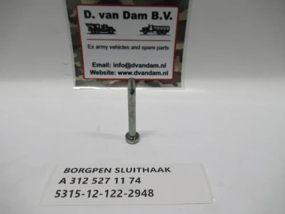 Borgpen sluithaak