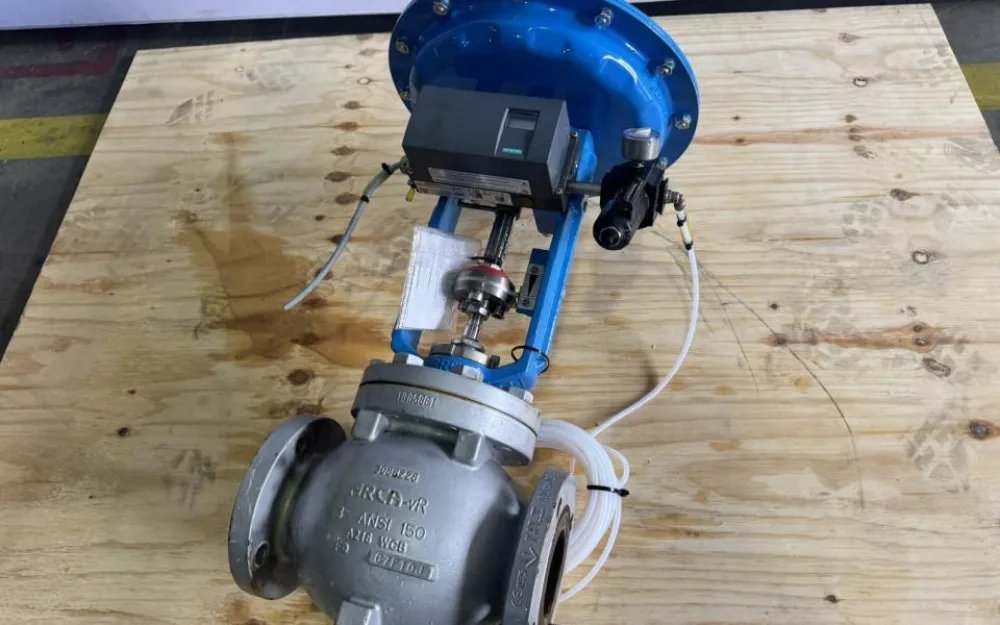 2019 ARCA Control valve with pneumatic diaphragm actuator and smart positioner
