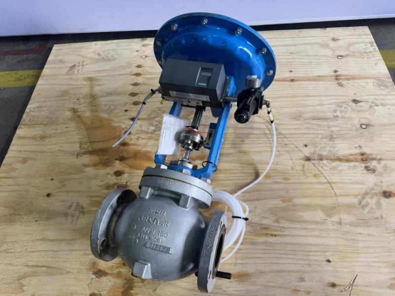 2019 ARCA Control valve with pneumatic diaphragm actuator and smart positioner