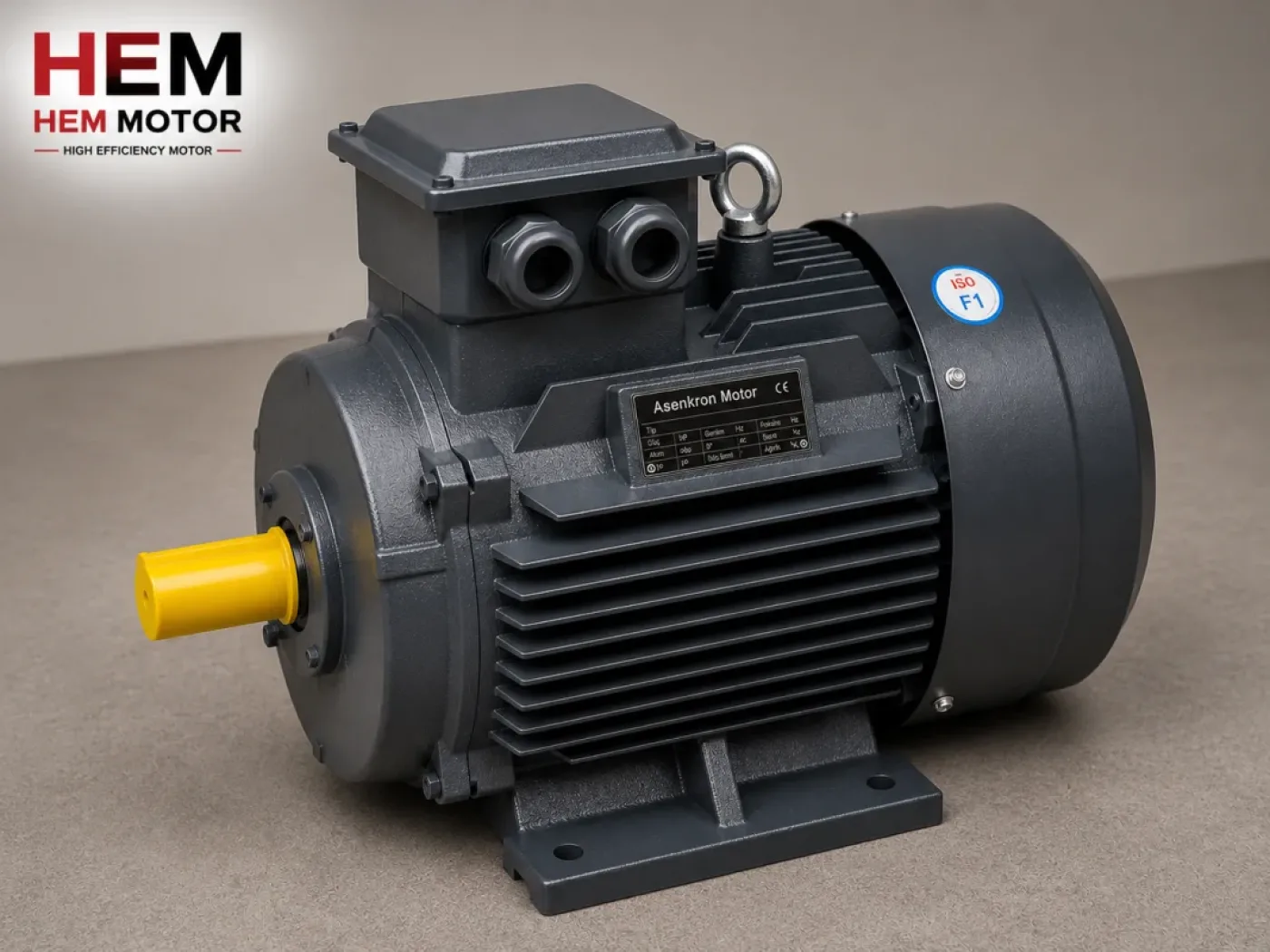 General Purpose Industrial Motors - 1