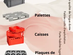 Tunnel de lavage des caisses et palettes