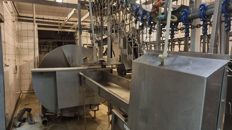 Poultry slaughter line, 2.500 bph