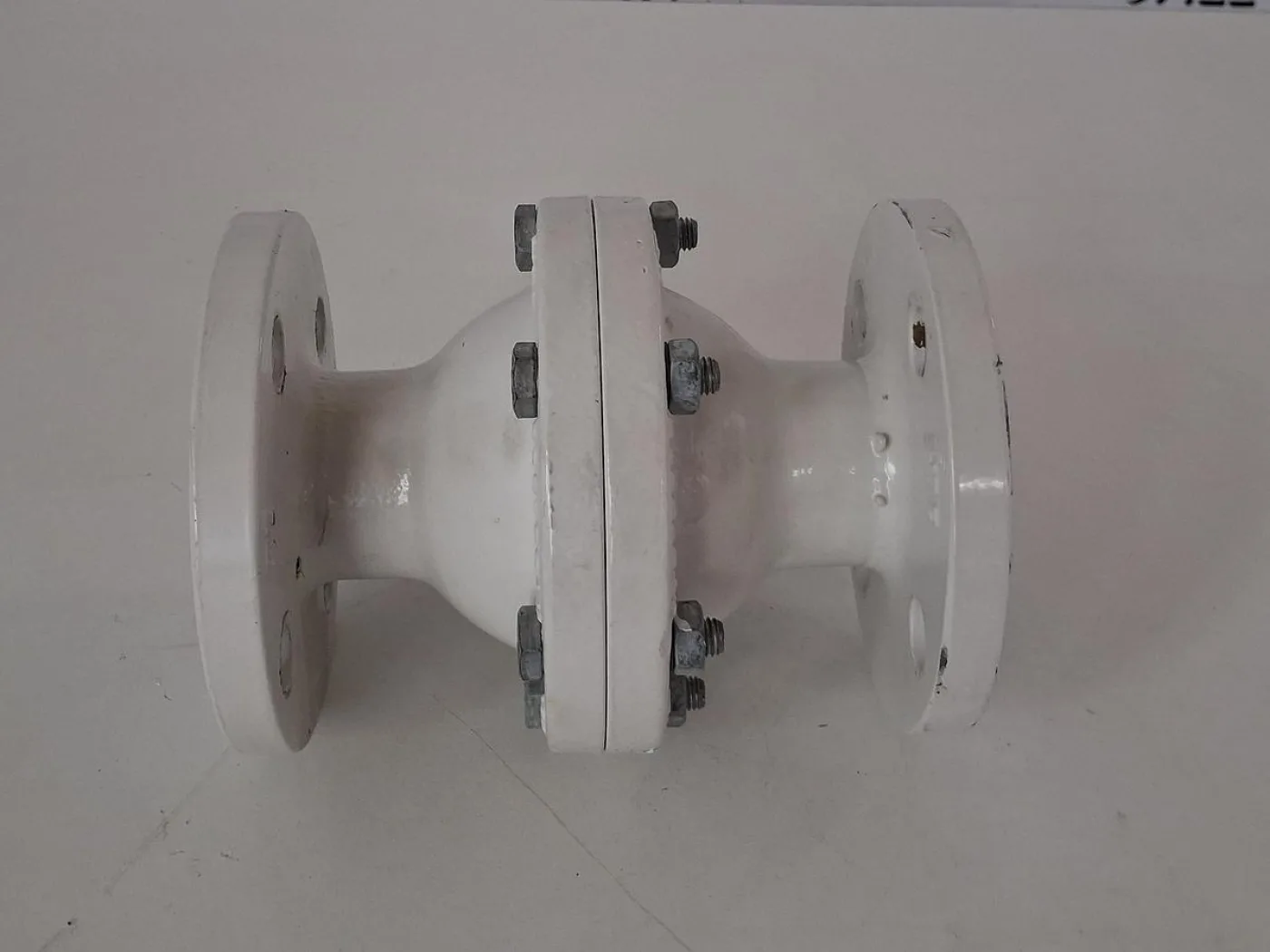 Neotecha Absperrklappe PTFE-ausgekleidet mit Handantrieb DN80 PN16 - 1