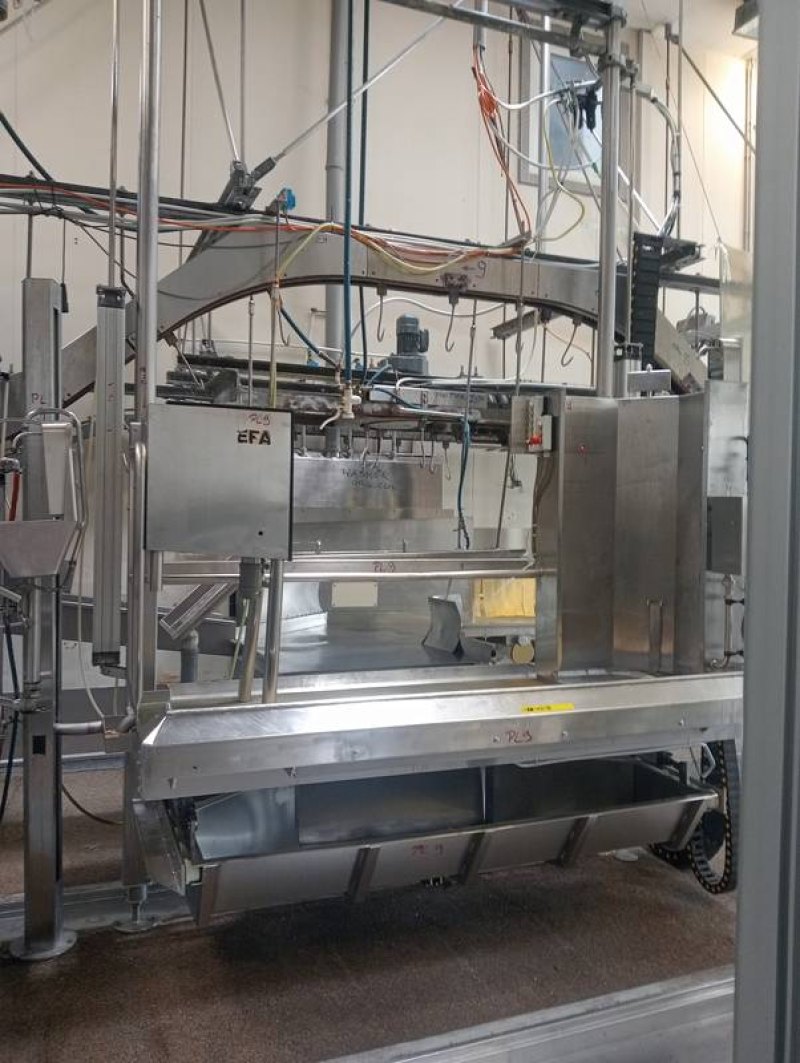 Paunch and intestine removal platform