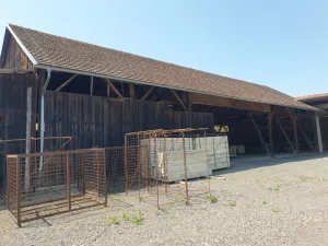 Holzhalle