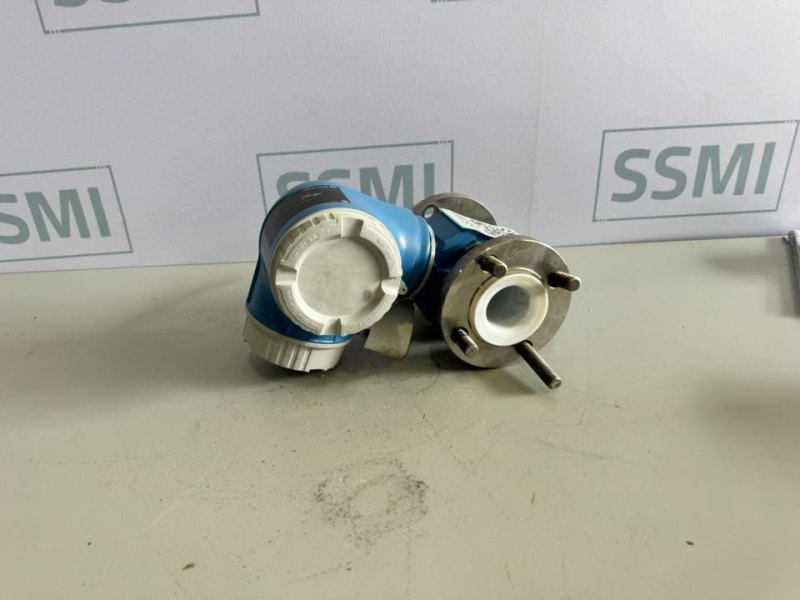 2019 Endress+Hauser Flowmeter