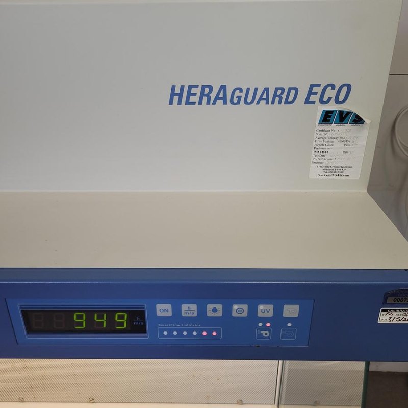 Thermo Scientific Heraguard ECO 1.2 Laminar Flow Clean Bench