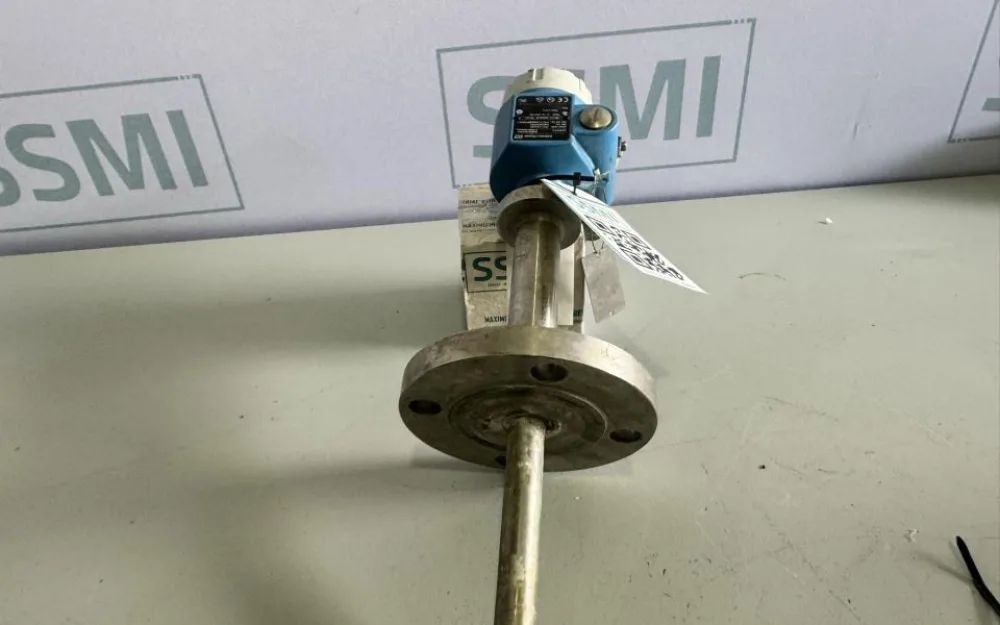 2019 Endress+Hauser Vibrating Level Switch
