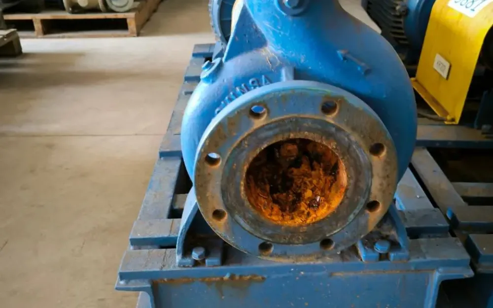 CENTRIFUGAL PUMP 22 KW 2930 RPM