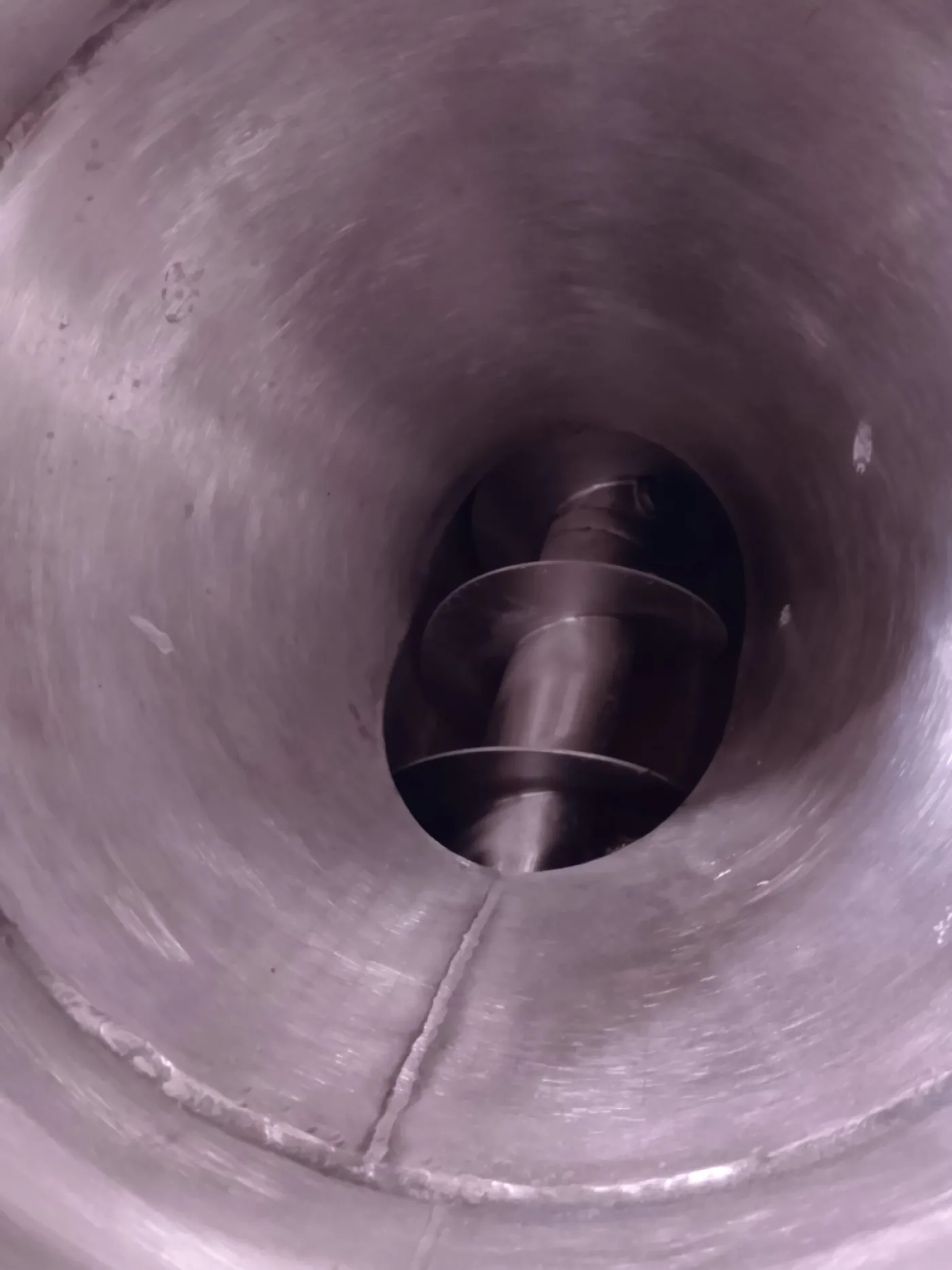 TRASFERITORE POLVERI A COCLEA IN ACCIAIO INOX – WAM - 4