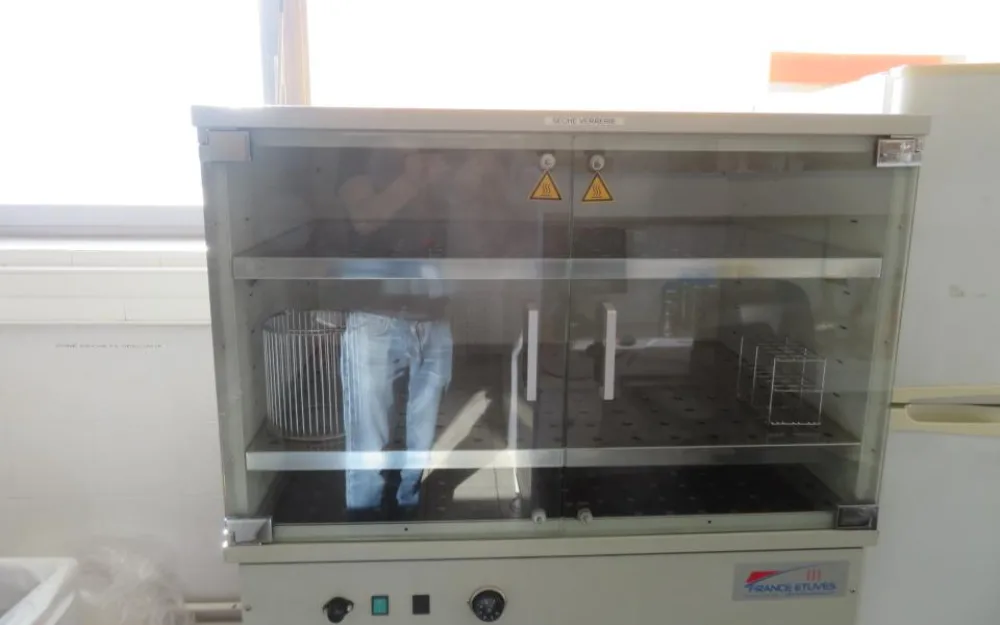2009 France Etuves France Etuves XAS280 Glassware Drying Cabinet- R and D