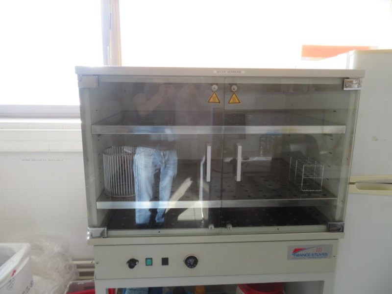 2009 France Etuves France Etuves XAS280 Glassware Drying Cabinet- R and D