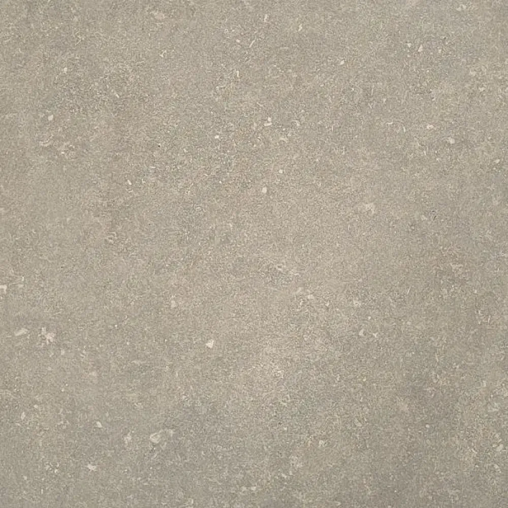 Ardenne 10MM Taupe tegel 60x60 cm
