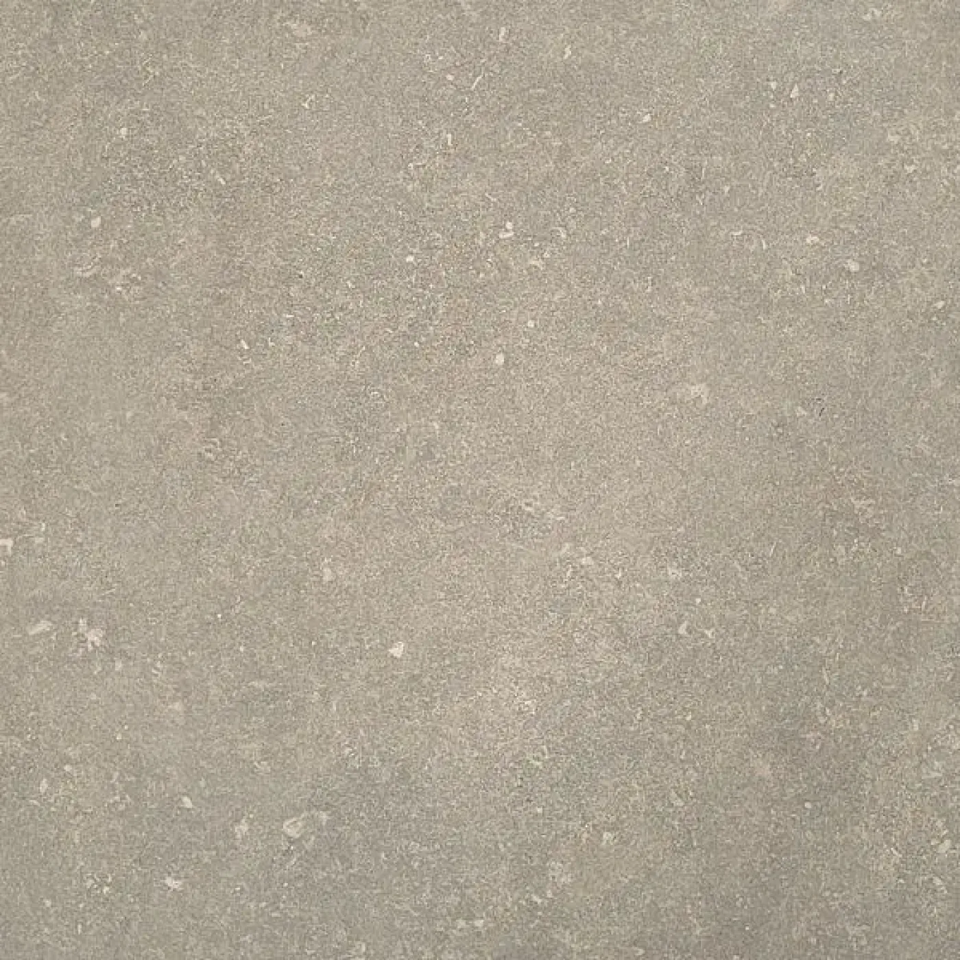 Ardenne 10MM Taupe tegel 60x60 cm - 1