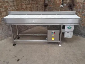 Cryovac Straight Conveyor