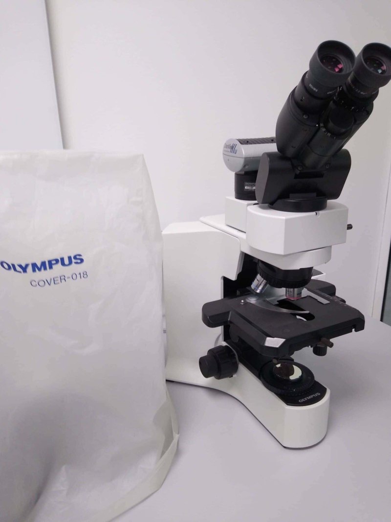 Olympus BX41 Binoculaire Biologische Microscoop met Camera