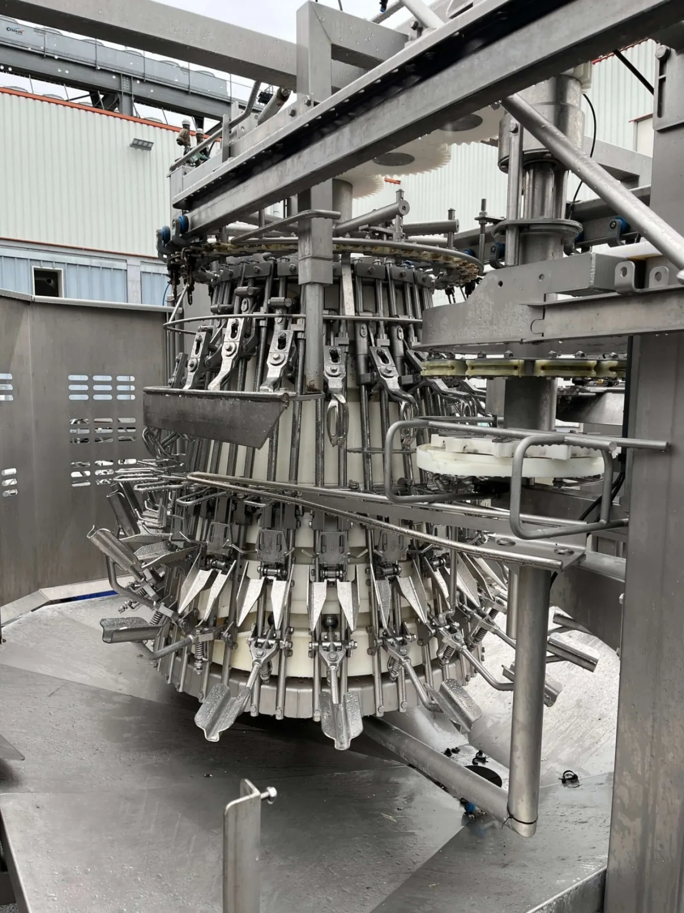 Eviscerator, Stork, Nuova - 1