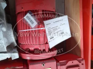 Gear motor