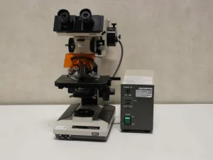 Olympus BH-2 Doorvallend Licht Fluorescentie Microscoop