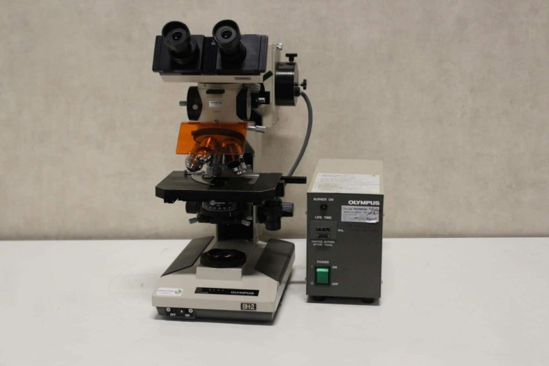 Olympus BH-2 Doorvallend Licht Fluorescentie Microscoop