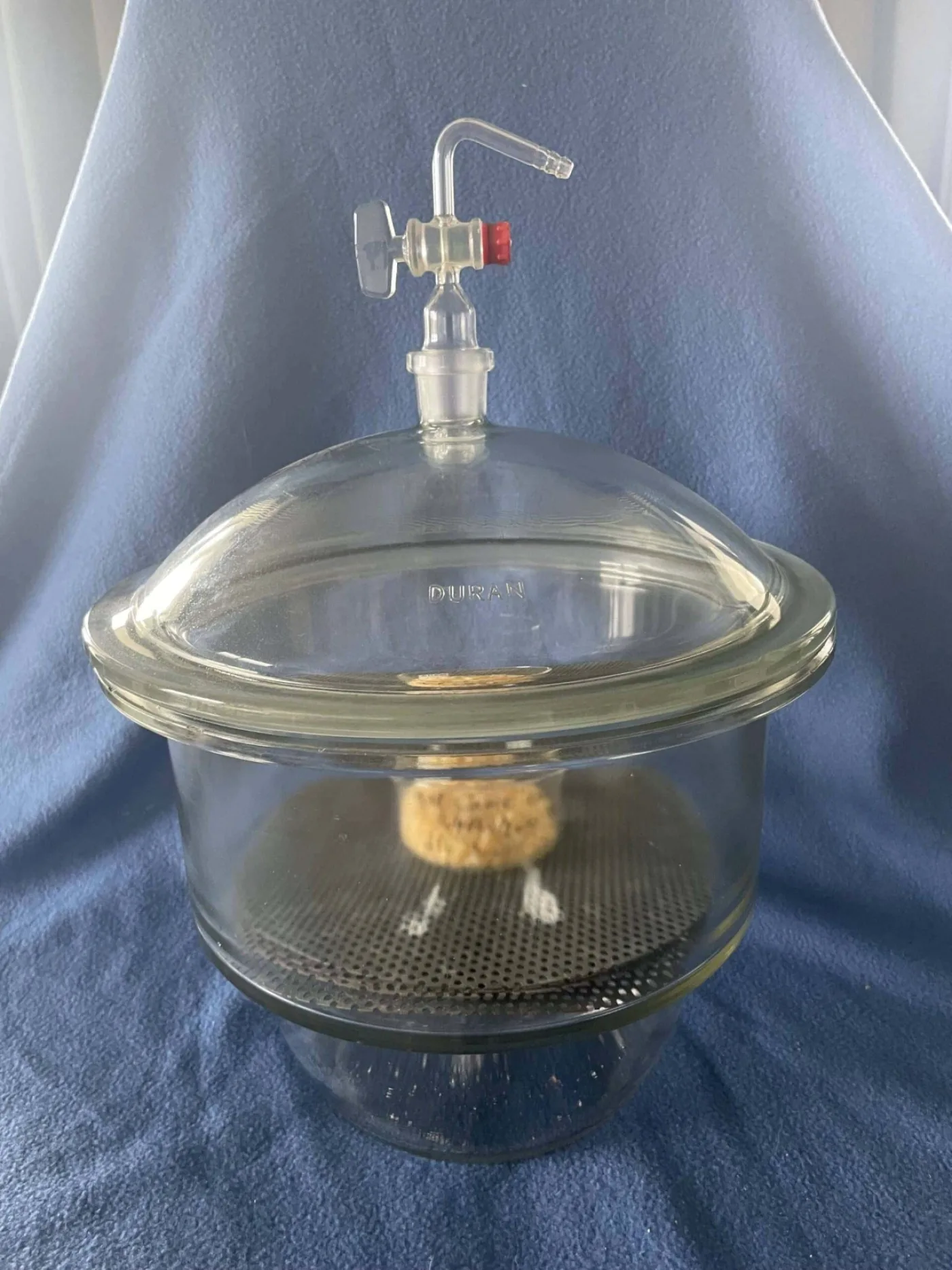 Duran Desiccator/Exsiccator - 1