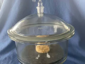 Duran Desiccator/Exsiccator