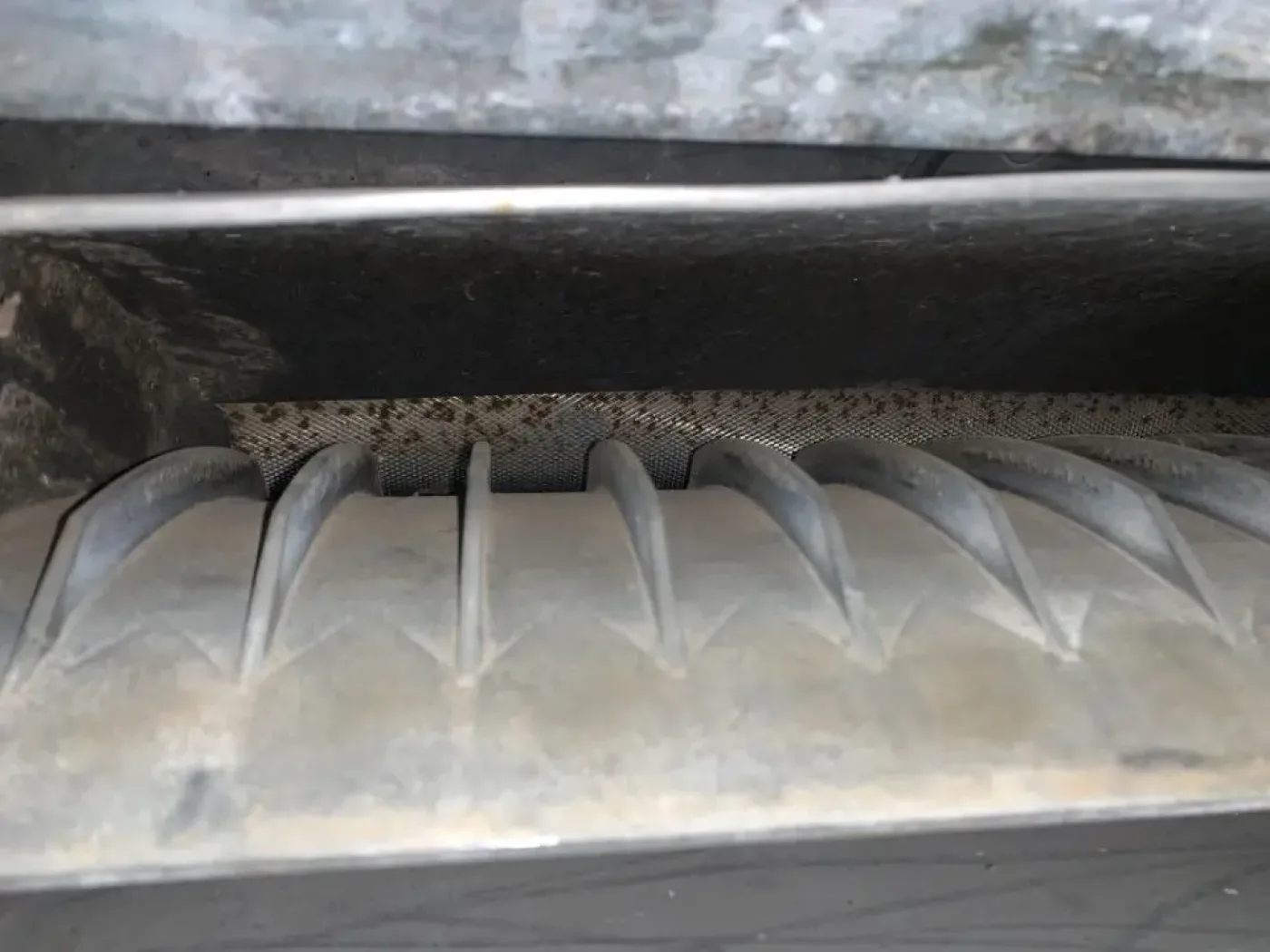 USED RIETER STAINLESS STEEL GRANULATOR - 5