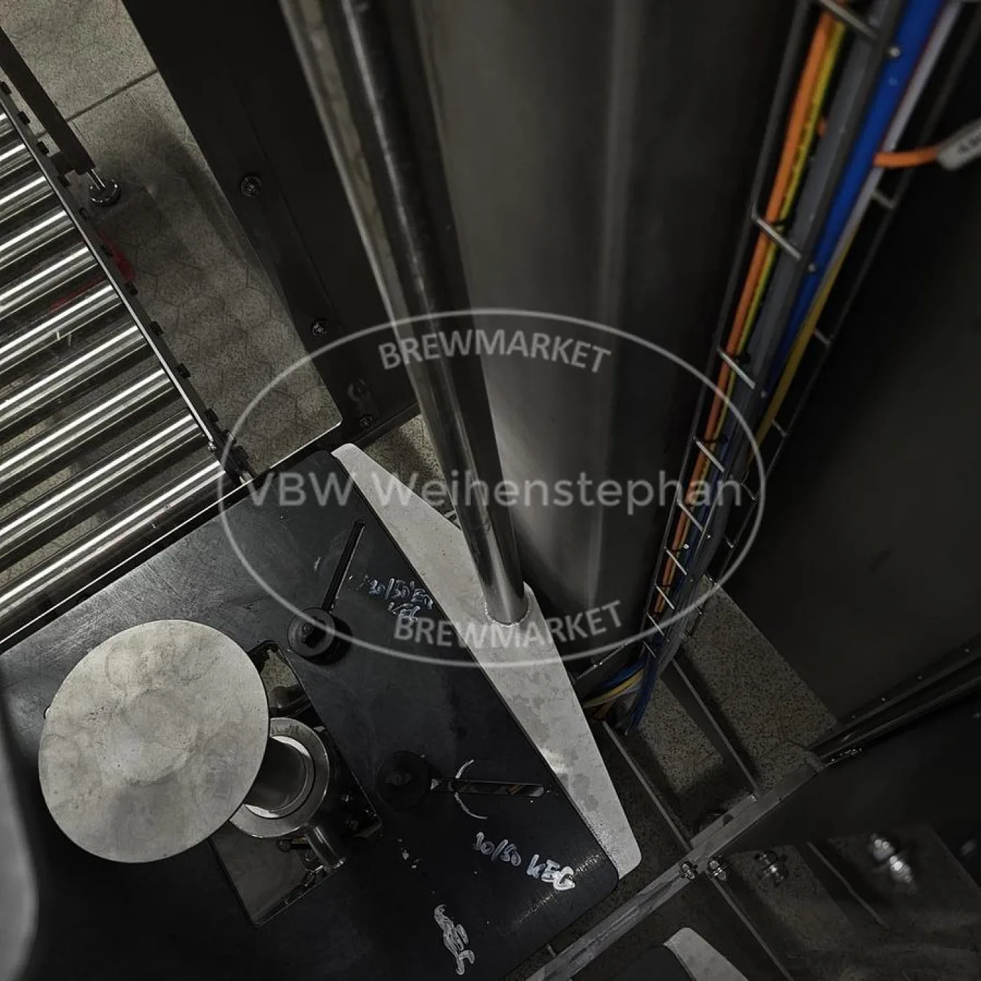 KEG plant - 6
