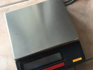 BILANCIA SARTORIUS – MOD.L610