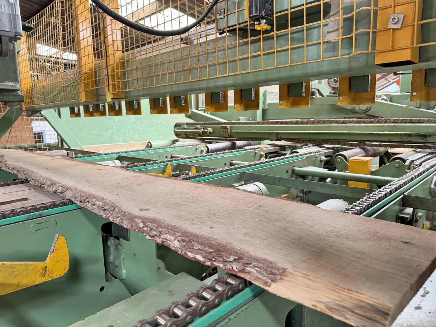 HIT edging line + BONGIANNI multi-ripsaw - 4