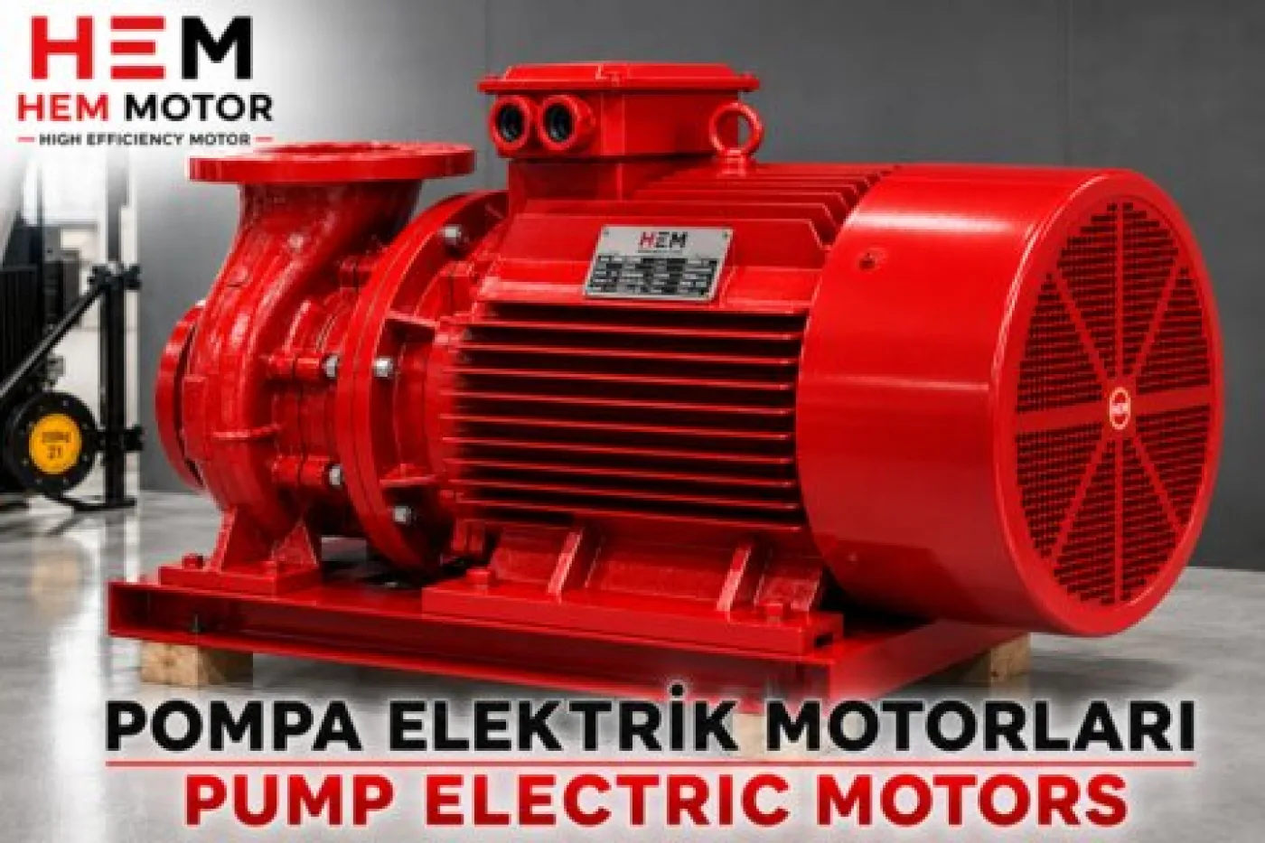 Fire Pump Electric Motors - 5