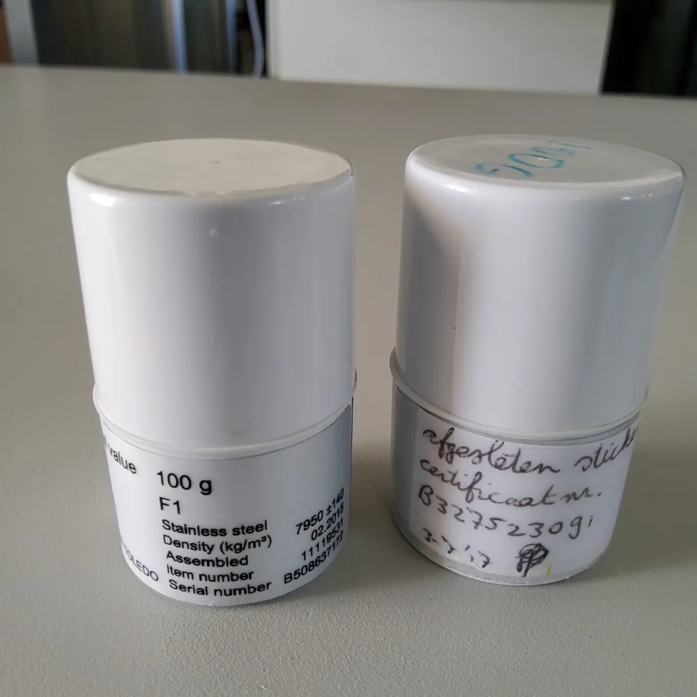 Mettler Toledo 100g - F1 (11119531)