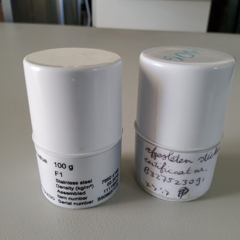 Mettler Toledo 100g - F1 (11119531)