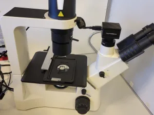 2445 - Used Motic AE2000 TRI Microscope with Moticam S6 Camera