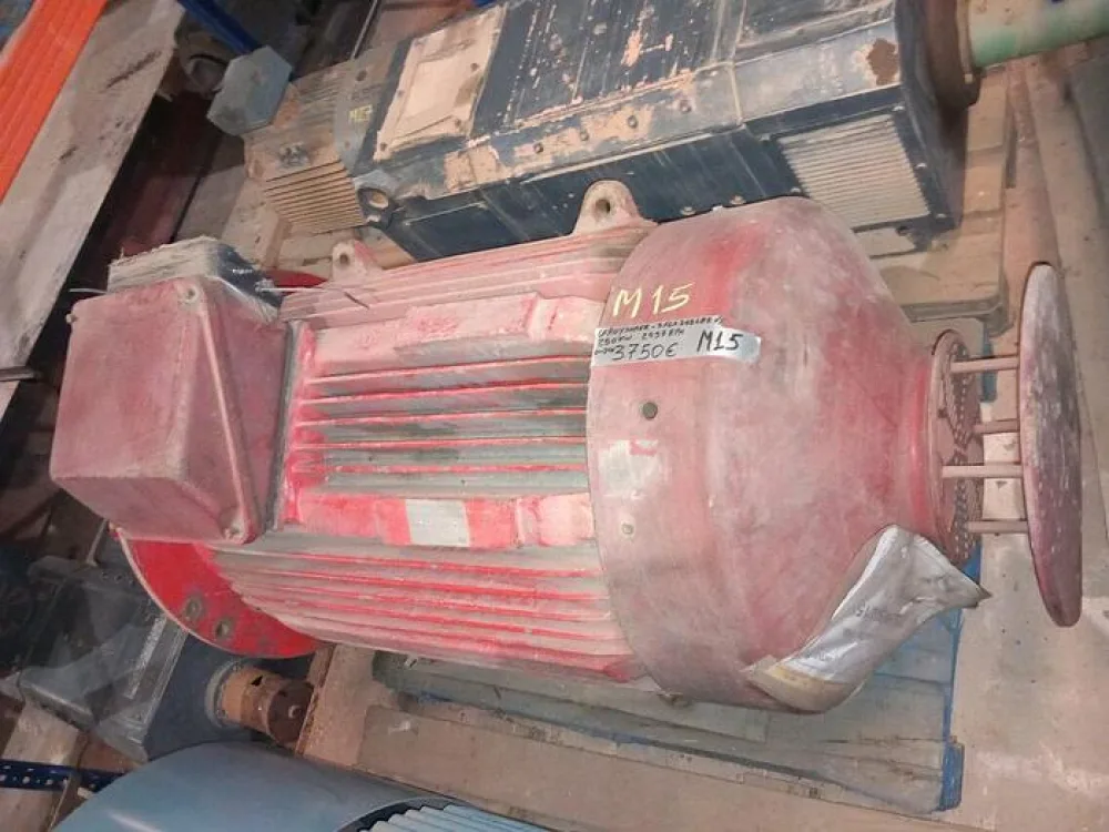 Motor Leroy Somer 250 kW 3FLS 355 LB2 VI