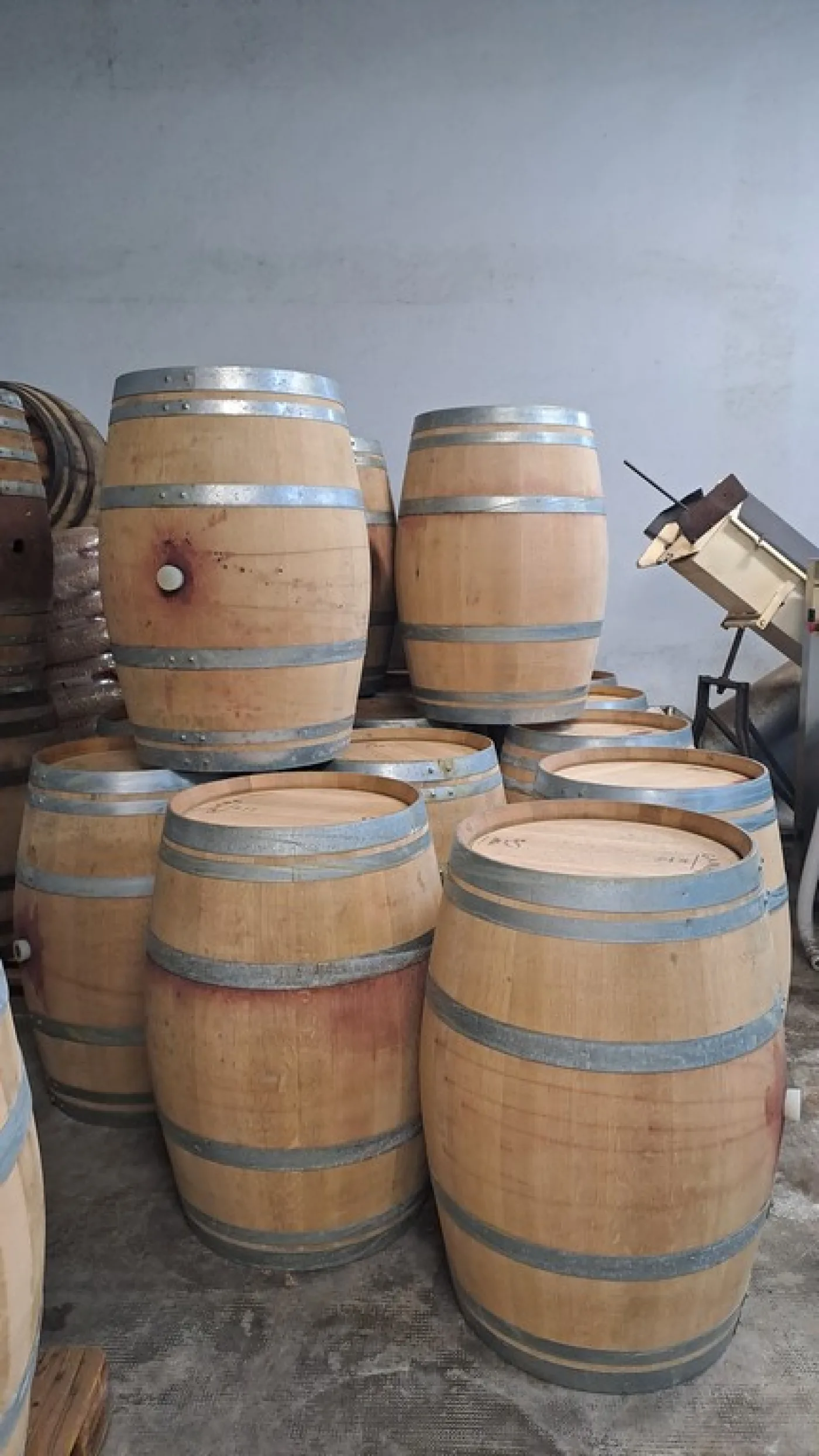 BARRELS CAPACITY LITERS 225/228 OF SECOND-USE USED FOR RED WINE, SECOND-HAND EQUIPMENT - 2