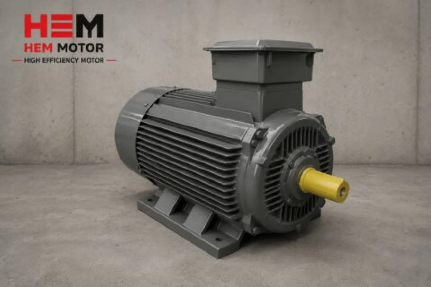 IE3 Premium Efficiency Electric Motors - 2