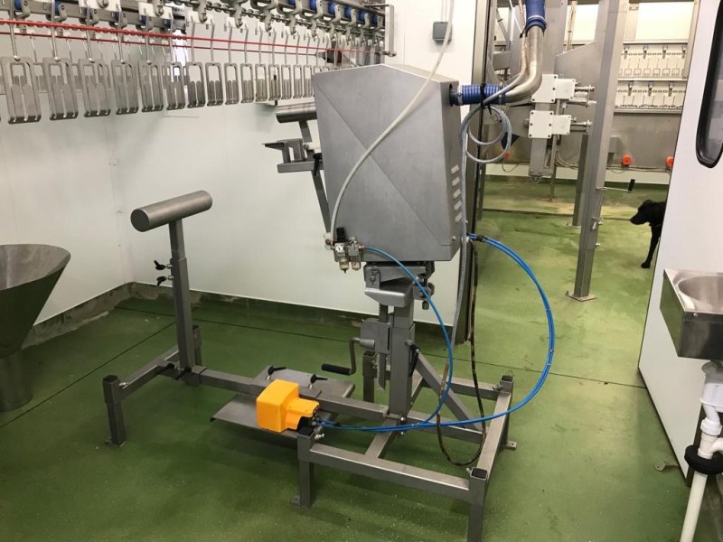 Quail Line, Verderio, 1.000 bph