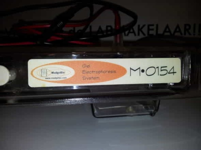 Gel Electroforese systeem